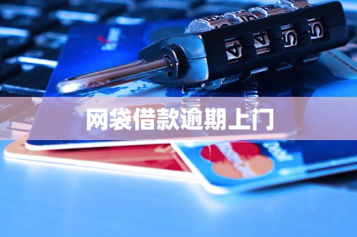 网袋借款逾期上门