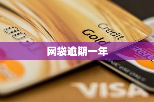 网袋逾期一年