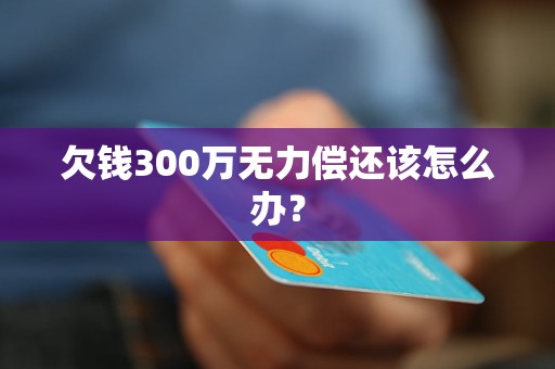 欠錢300萬無力償還該怎么辦？