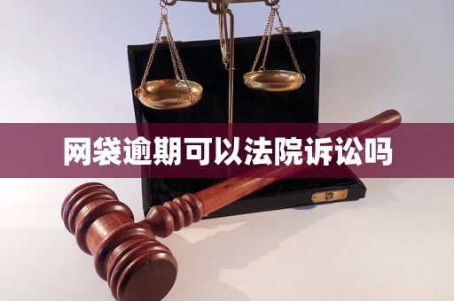 网袋逾期可以法院诉讼吗 网袋逾期可以法院诉讼吗