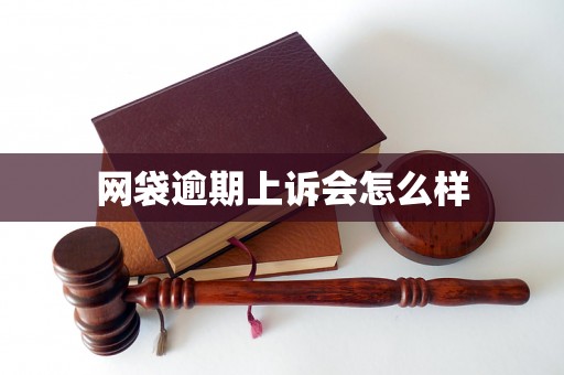 网袋逾期上诉会怎么样 网袋逾期上诉会怎么样