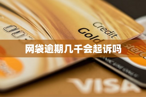 网袋逾期几千会起诉吗