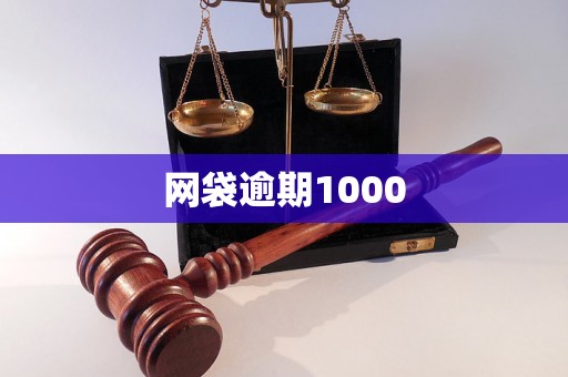 网袋逾期1000