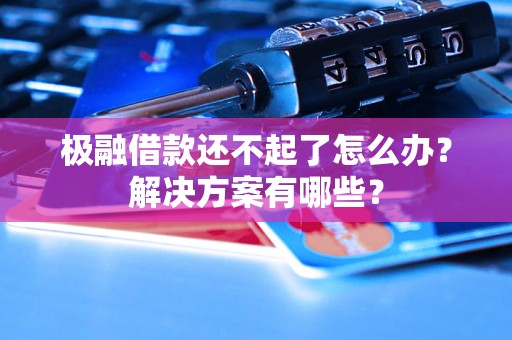 极融借款还不起了怎么办？解决方案有哪些？