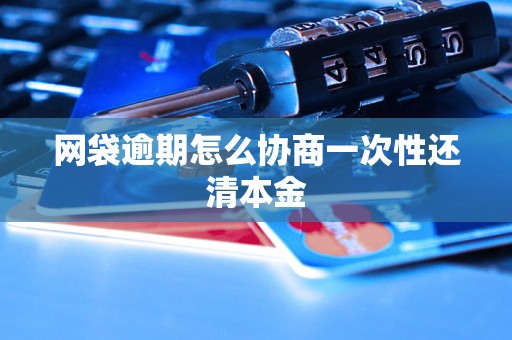 网袋逾期怎么协商一次性还清本金 网袋逾期怎么协商一次性还清本金