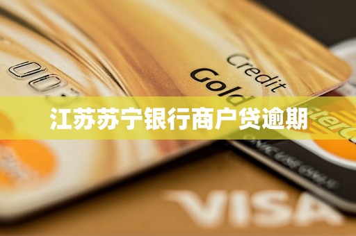 江苏苏宁银行商户贷逾期 江苏苏宁银行商户贷逾期