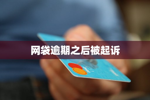 网袋逾期之后被起诉