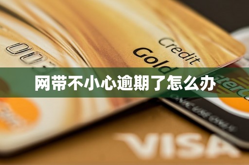 网带不小心逾期了怎么办