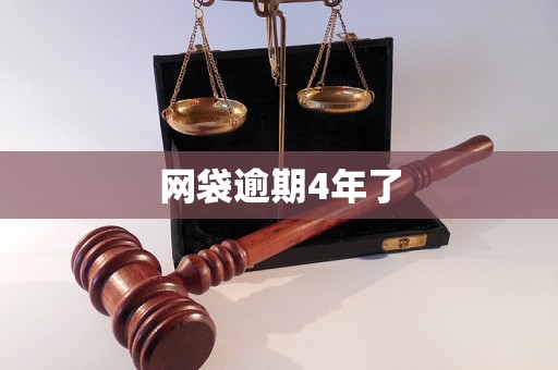 网袋逾期4年了