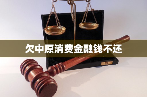 欠中原消费金融钱不还 欠中原消费金融钱不还