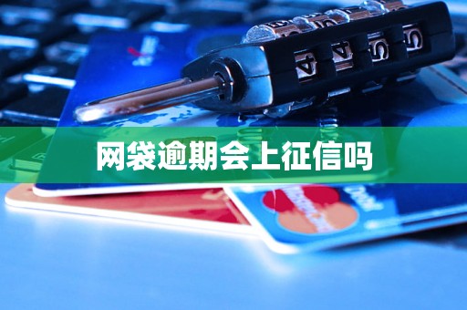 网袋逾期会上征信吗
