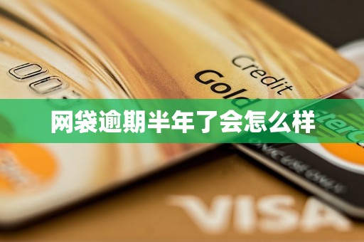 网袋逾期半年了会怎么样