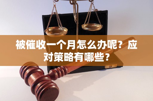 被催收一個(gè)月怎么辦呢？應(yīng)對(duì)策略有哪些？