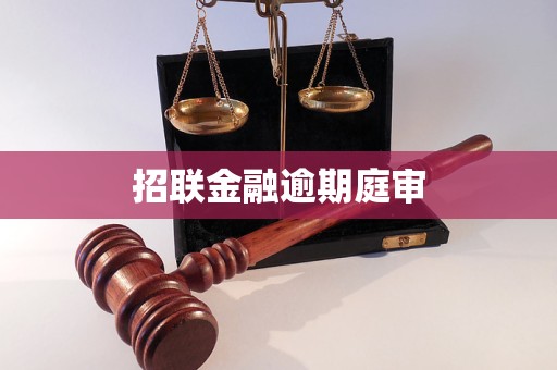 招聯(lián)金融逾期庭審