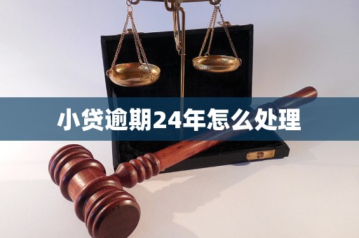 小贷逾期24年怎么处理 小贷逾期24年怎么处理