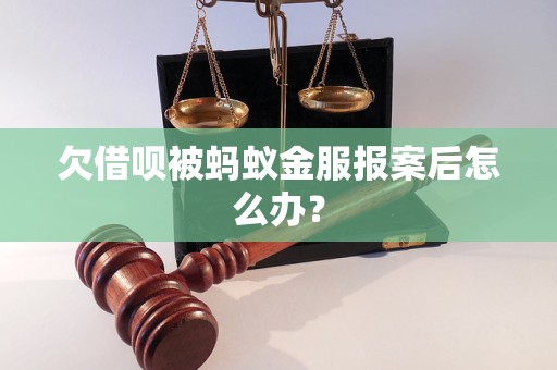 欠借唄被螞蟻金服報案后怎么辦？