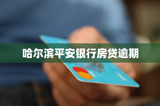 哈爾濱平安銀行房貸逾期