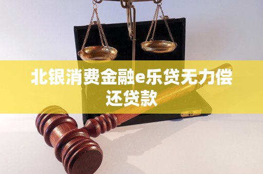 北銀消費金融e樂貸無力償還貸款