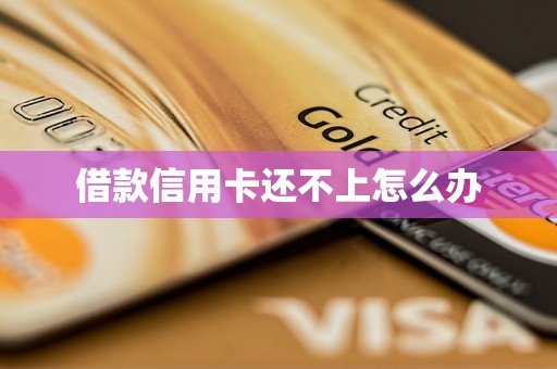 借款信用卡还不上怎么办