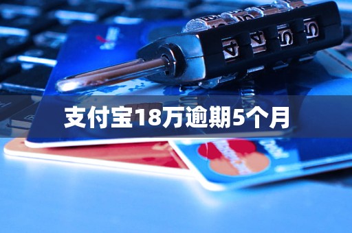 支付寶18萬(wàn)逾期5個(gè)月