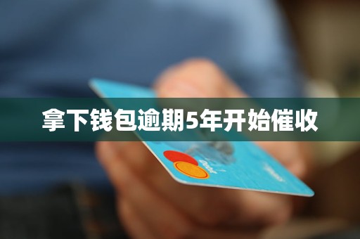BG大游拿下钱包逾期5年开始催收|日本1卡2卡3卡|