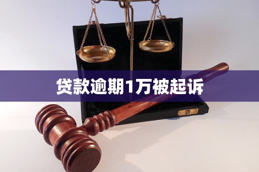 贷款逾期1万被起诉