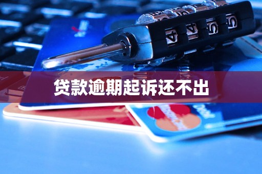 贷款逾期起诉还不出 贷款逾期起诉还不出