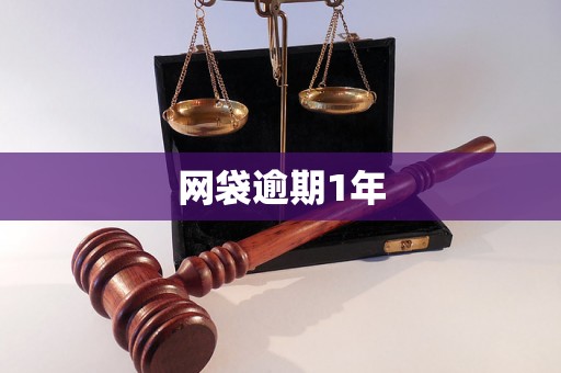 网袋逾期1年 网袋逾期1年