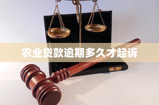 农业贷款逾期多久才起诉