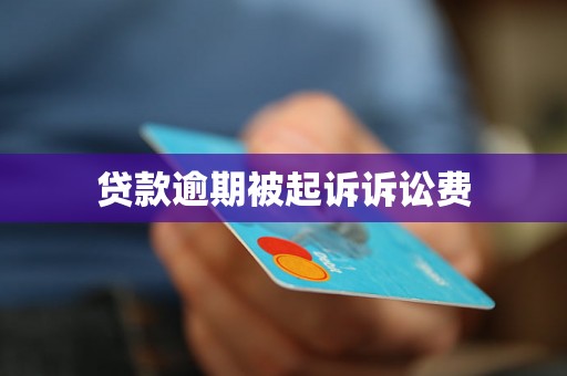 贷款逾期被起诉诉讼费