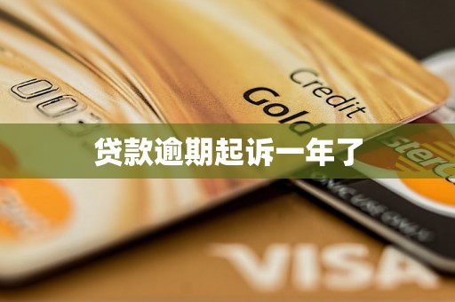 贷款逾期起诉一年了