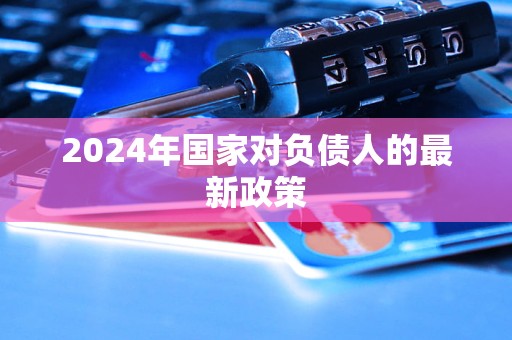 2024年國家對負(fù)債人的最新政策