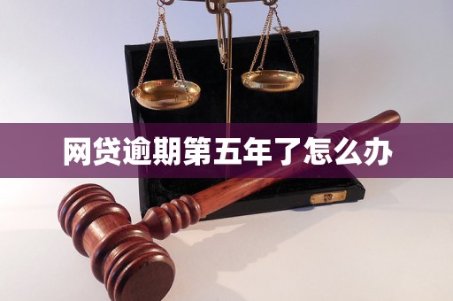 网贷逾期第五年了怎么办 网贷逾期第五年了怎么办