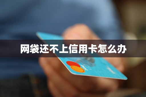网袋还不上信用卡怎么办 网袋还不上信用卡怎么办