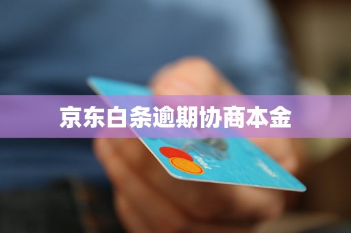 京东白条逾期协商本金 京东白条逾期协商本金