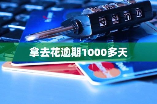 拿去花逾期1000多天