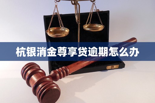 杭银消金尊享贷逾期怎么办