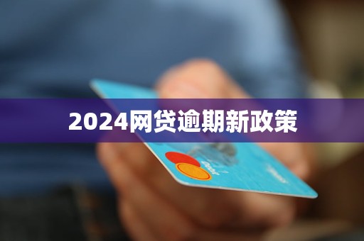 2024網(wǎng)貸逾期新政策