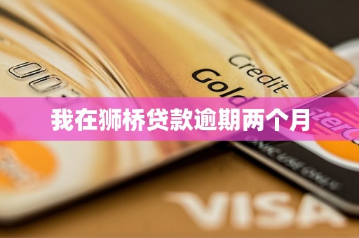 我在狮桥贷款逾期两个月