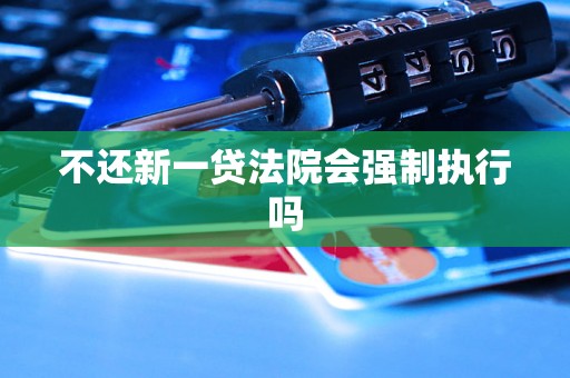 不还新一贷法院会强制执行吗 不还新一贷法院会强制执行吗