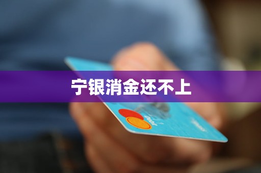 寧銀消金還不上