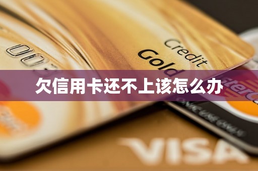 欠信用卡还不上该怎么办 欠信用卡还不上该怎么办