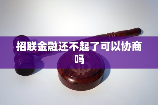 招聯(lián)金融還不起了可以協(xié)商嗎