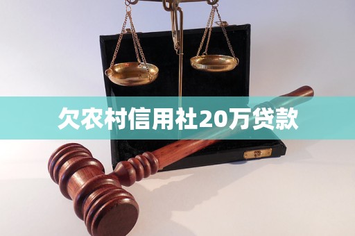 欠農(nóng)村信用社20萬貸款