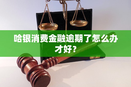 哈銀消費金融逾期了怎么辦才好？