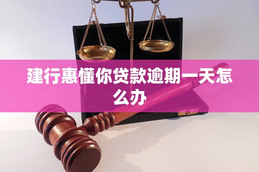 建行惠懂你贷款逾期一天怎么办 建行惠懂你贷款逾期一天怎么办