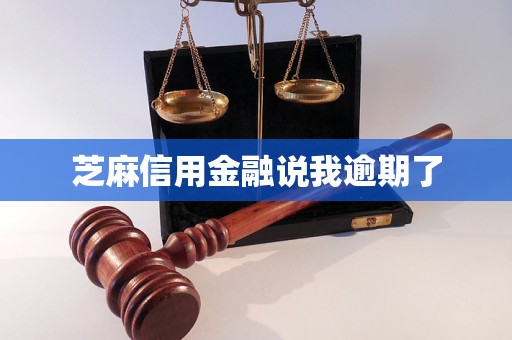 芝麻信用金融說我逾期了