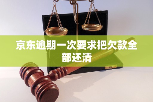 京东逾期一次要求把欠款全部还清