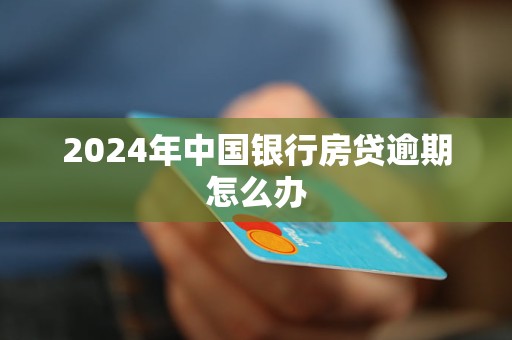 2024年中國銀行房貸逾期怎么辦