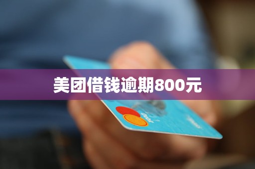 美團借錢逾期800元